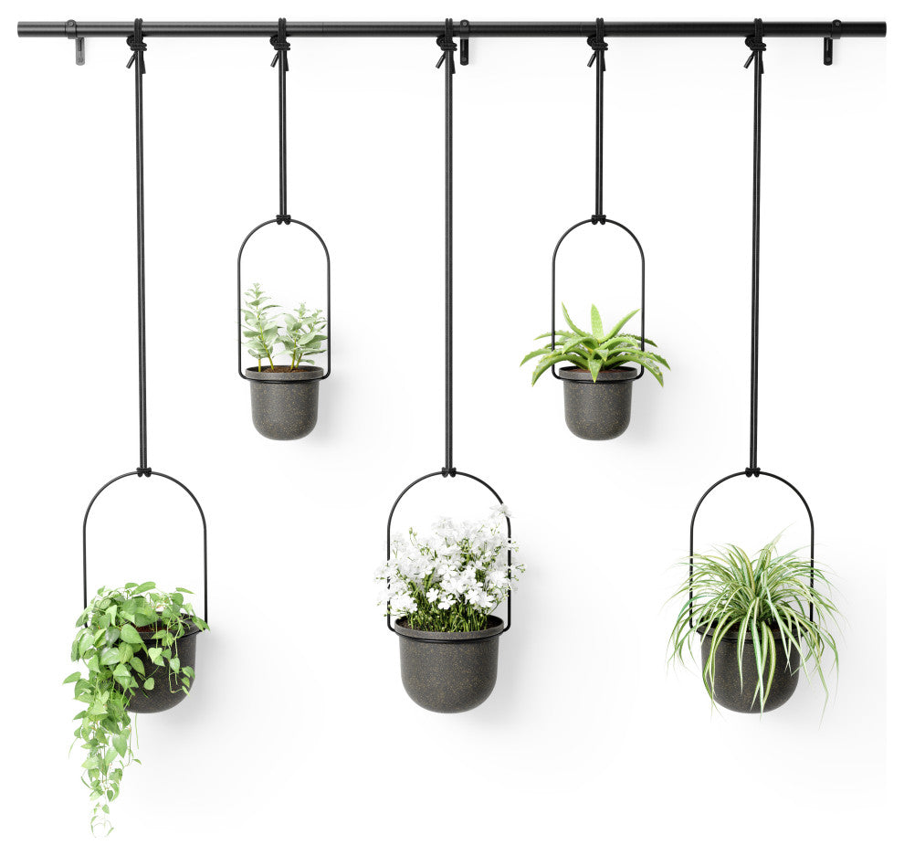 Umbra Triflora Hanging Planter, Set of 5 Black