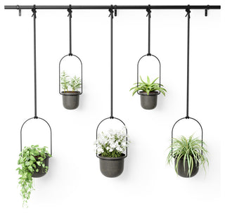 Umbra Triflora Hanging Planter, Set of 5 Black