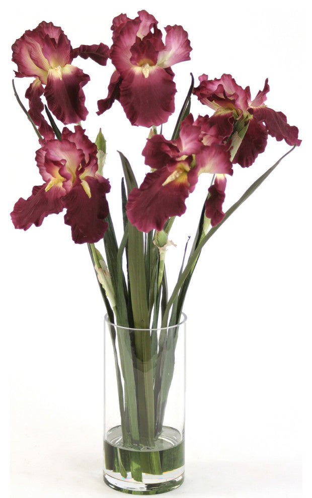 WaterlookÂ® Amethyst Irises with Blades in Glass Cylinder