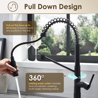 Nette Single-Handle Kitchen Faucet With Pull Down Sprayer, Matte Black
