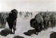 Frederic Remington Lane through the Buffalo Herd Wall Decal