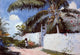 Winslow Homer A Garden in Nassau, 18"x27" Gallery Wrapped Canvas Print