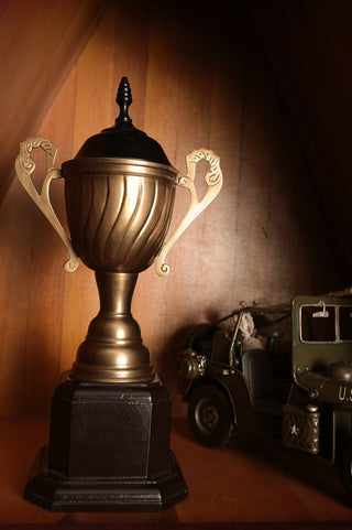 Alum/Wooden Trophy Big Aluminum Home Decor