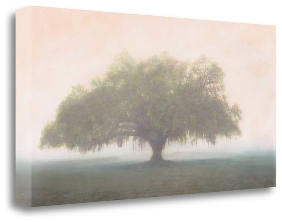 "Oak In The Fog" By William Guion, Giclee Print on Gallery Wrap Canvas