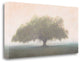 "Oak In The Fog" By William Guion, Giclee Print on Gallery Wrap Canvas