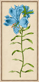 Vintage Floral Etching 5, Giclee Reproduction Artwork