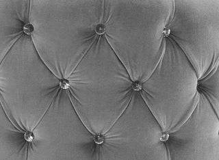 TOV Furniture Adina Grey Velvet Loveseat with Gold Legs