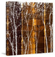 "Hibiki 3" Painting Print on Canvas by Aryai