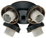 Quorum International 2401 4 Light Ceiling Fan Light Kit - Old World