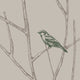 Branch Birds Peel and Stick Vinyl Wallpaper, Green, 24"w X 108"h