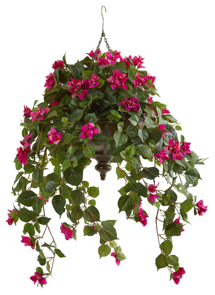 Full product on white background with no overlays; clear front-facing view of the hanging bougainvillea plant.