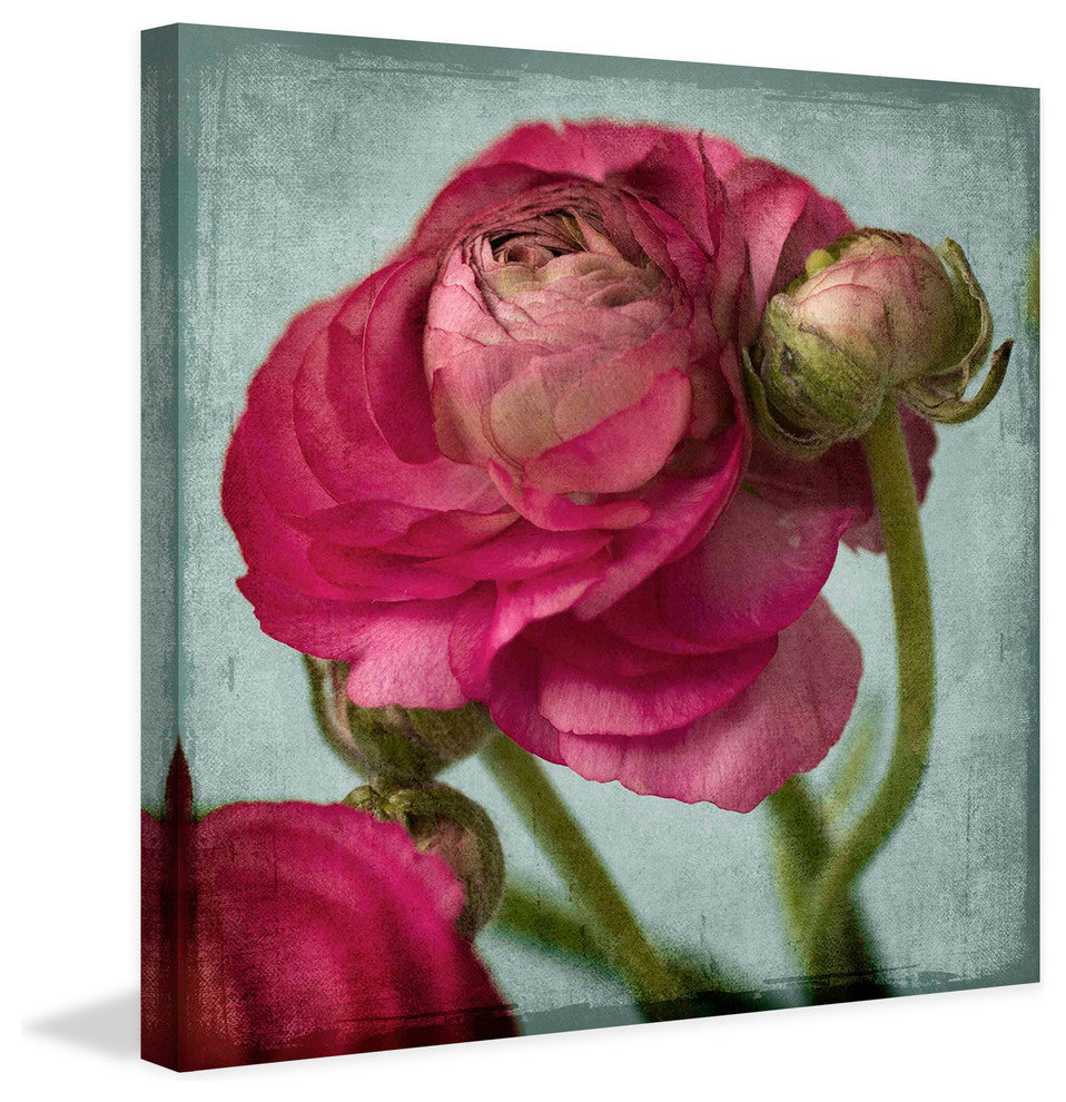 "Red Ranunculus B" Painting Print on Canvas by Stalus