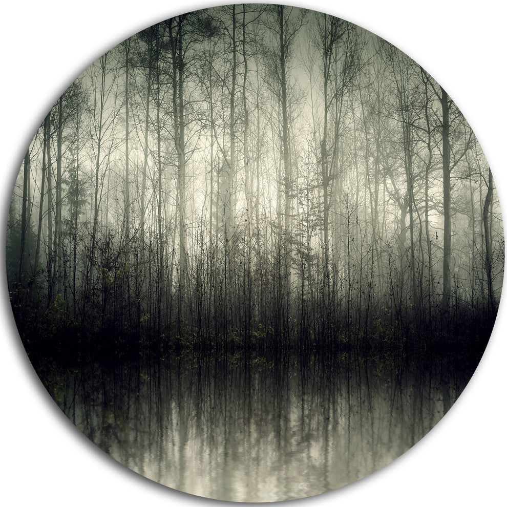 Beautiful Gray Forest In Germany, Landscape Round Metal Wall Art, 36"