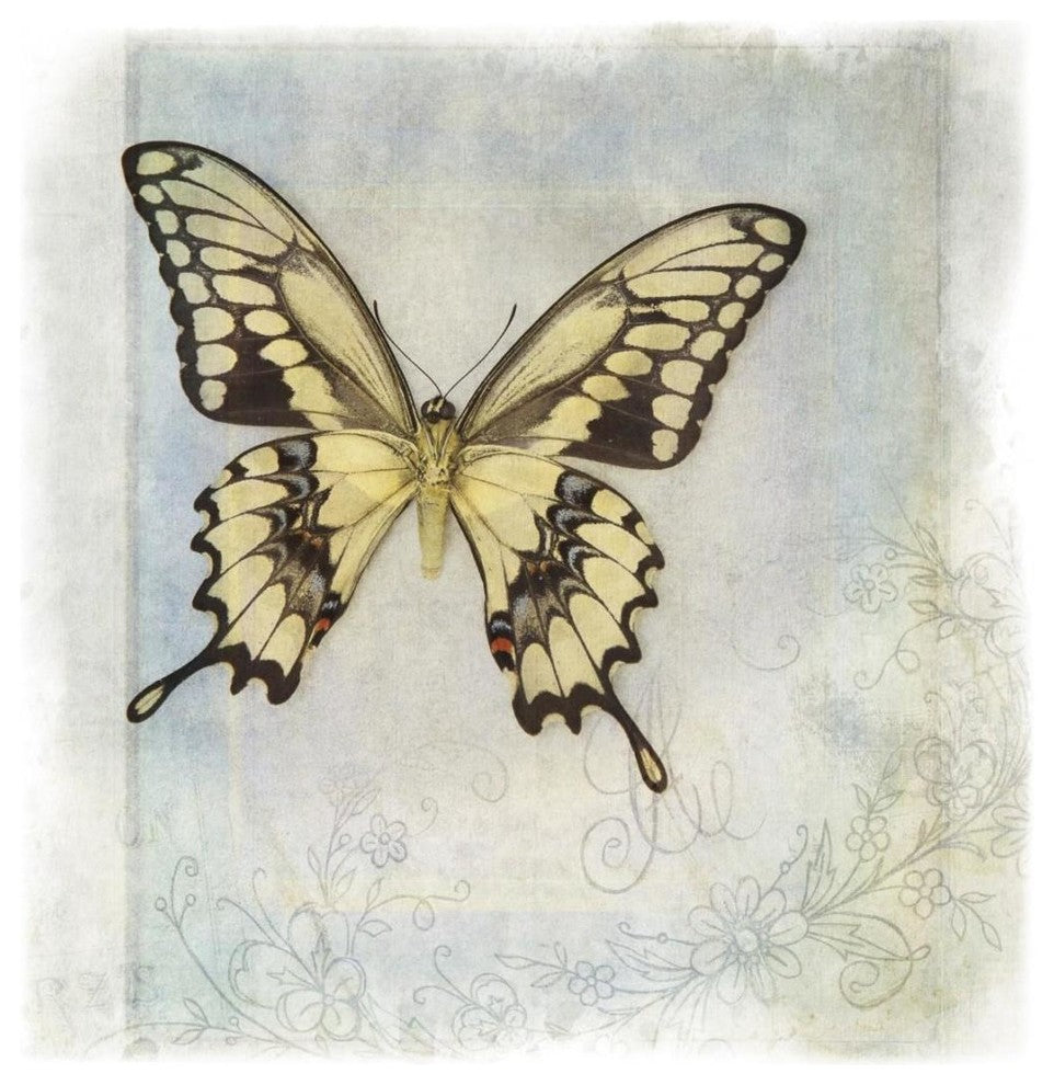 "Floating Butterfly V" Digital Paper Print by Debra Van Swearingen, 20"x20"
