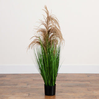 Lifestyle shot featuring the full plant in a room setting.