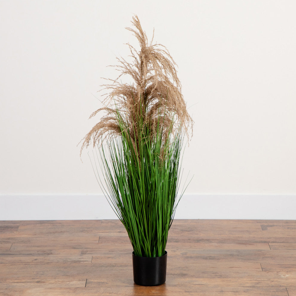 Lifestyle shot featuring the full plant in a room setting.
