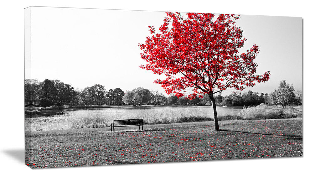 Red Tree over Park Bench, Landscape Canvas Art Print, 40x20