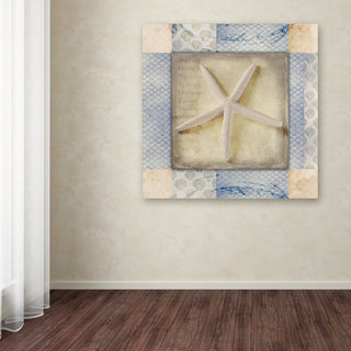 LightBoxJournal 'White Sea Starfish' Canvas Art, 18" x 18"