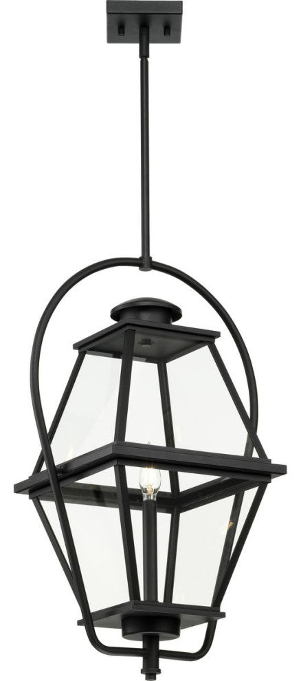 Bradshaw Collection 1-Light Textured Black Clear Glass Outdoor Hanging Lantern