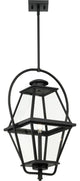 Bradshaw Collection 1-Light Textured Black Clear Glass Outdoor Hanging Lantern
