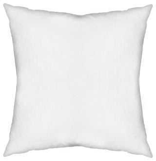 20 x 20 Down pillow insert