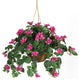 Bougainvillea Hanging Basket Silk Plant