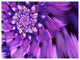 Blue Flower Shaped Fractal Art, Floral Canvas Art Print, 40"x30"