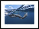 "Dolphins" Framed Digital Print by Barathieu Gabriel, 32x24"