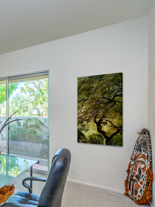 "Magical Tree" Painting Print on Canvas