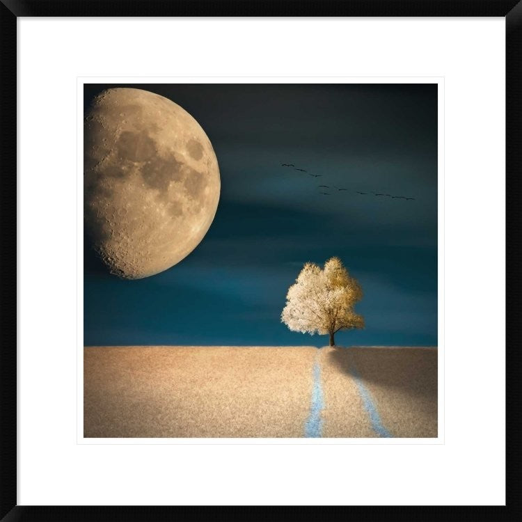 "Gmo" Framed Digital Print by Piotr (Bax) Krol, 24x24"