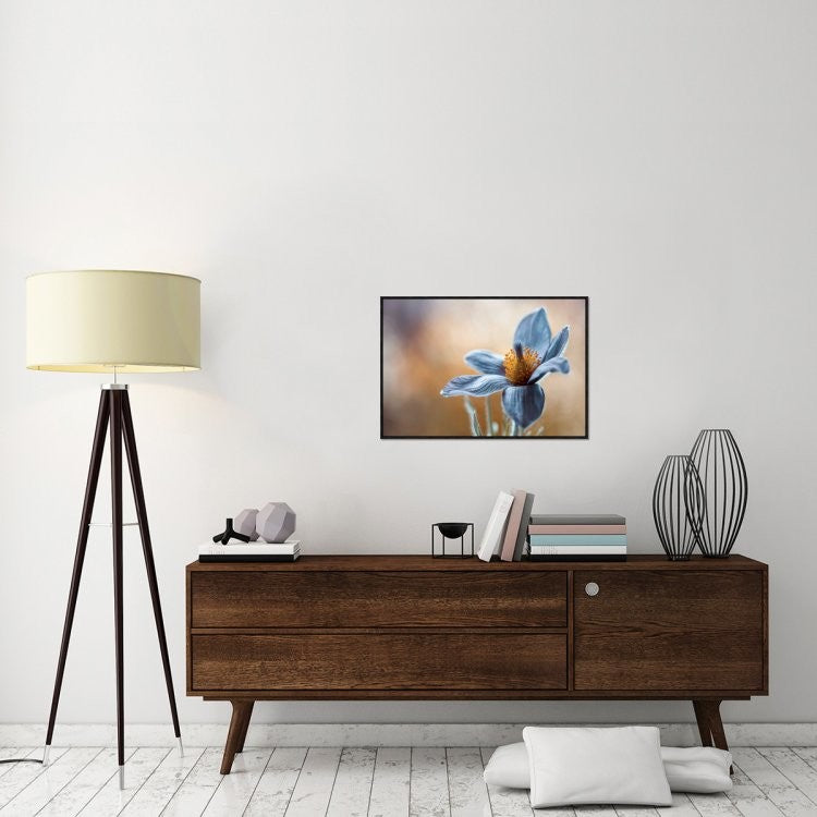 "Pasque" Framed Canvas Giclee by Mandy Disher, 31x21"
