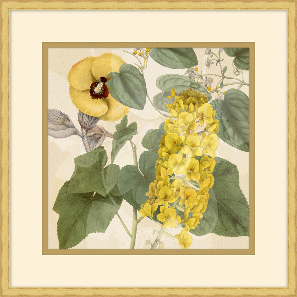 Golden Briar 6, Giclee Reproduction Artwork
