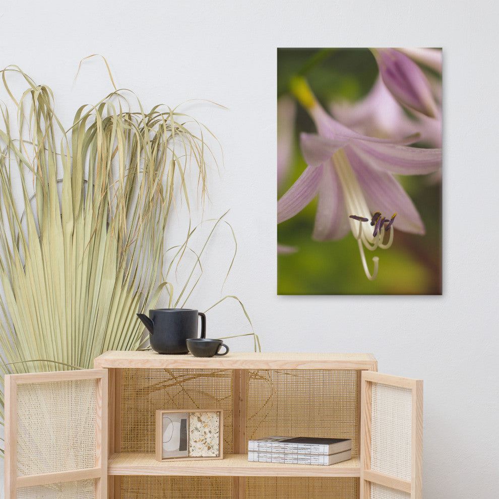 Close-up Hosta Bloom Floral Nature Photo Canvas Wall Art Print, 24" X 36"