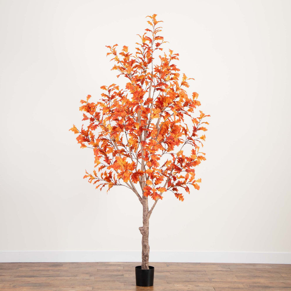 Full-tree view on a clean white background.