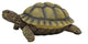 Turtle Statue Sculpture