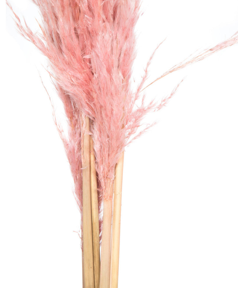 Vickerman 46" Dried Pampas Grass, Salmon