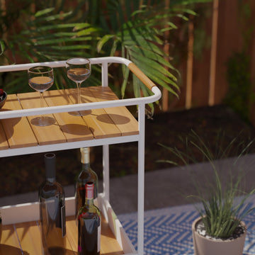 Bexley Outdoor Bar Cart With Storage