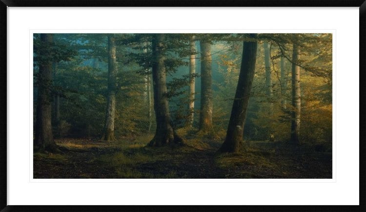 "October Colors" Framed Digital Print by Norbert Maier, 44x25"