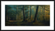 "October Colors" Framed Digital Print by Norbert Maier, 44x25"