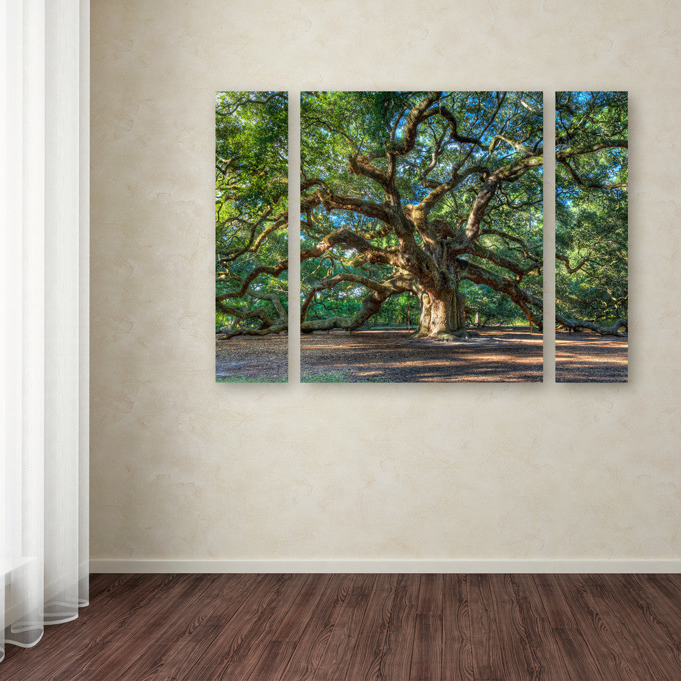 Pierre Leclerc 'Angel Oak Charleston' Multi Panel Art Set, 32"x24"