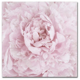 Cora Niele 'Pink Peony Flower' Canvas Art