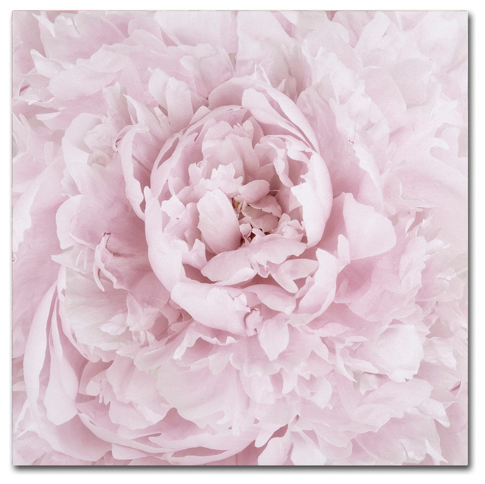 Cora Niele 'Pink Peony Flower' Canvas Art