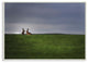 Bunny Couple Family Animal Landscape Photo, 10"x15"