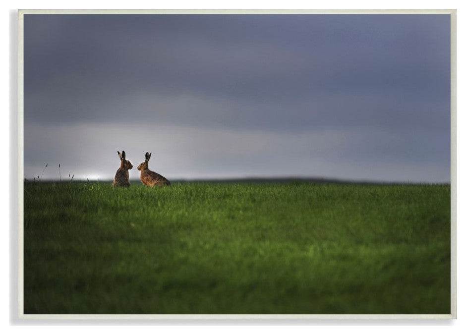 Bunny Couple Family Animal Landscape Photo, 10"x15"