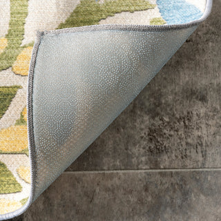 Nuloom Rosana Floral Machine Washable Indoor/Outdoor Area Rug, Multicolor 5'x8'