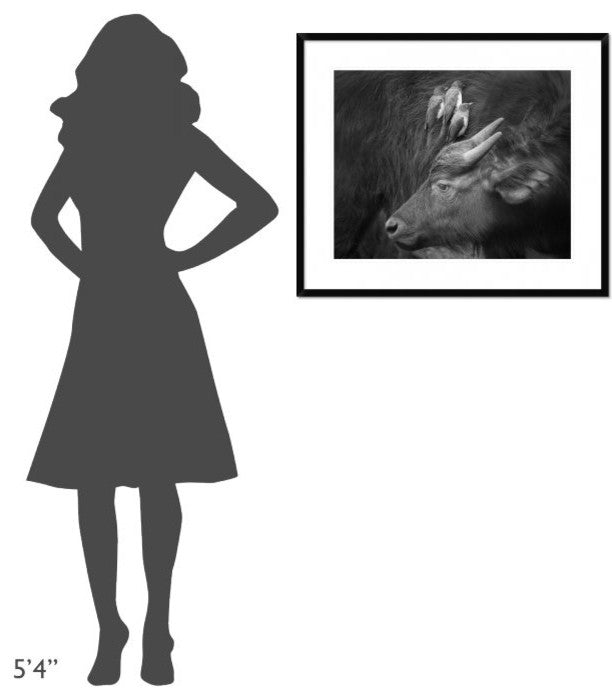 "Three Is A Crowd!" Framed Digital Print by Ali Khataw, 32x28"