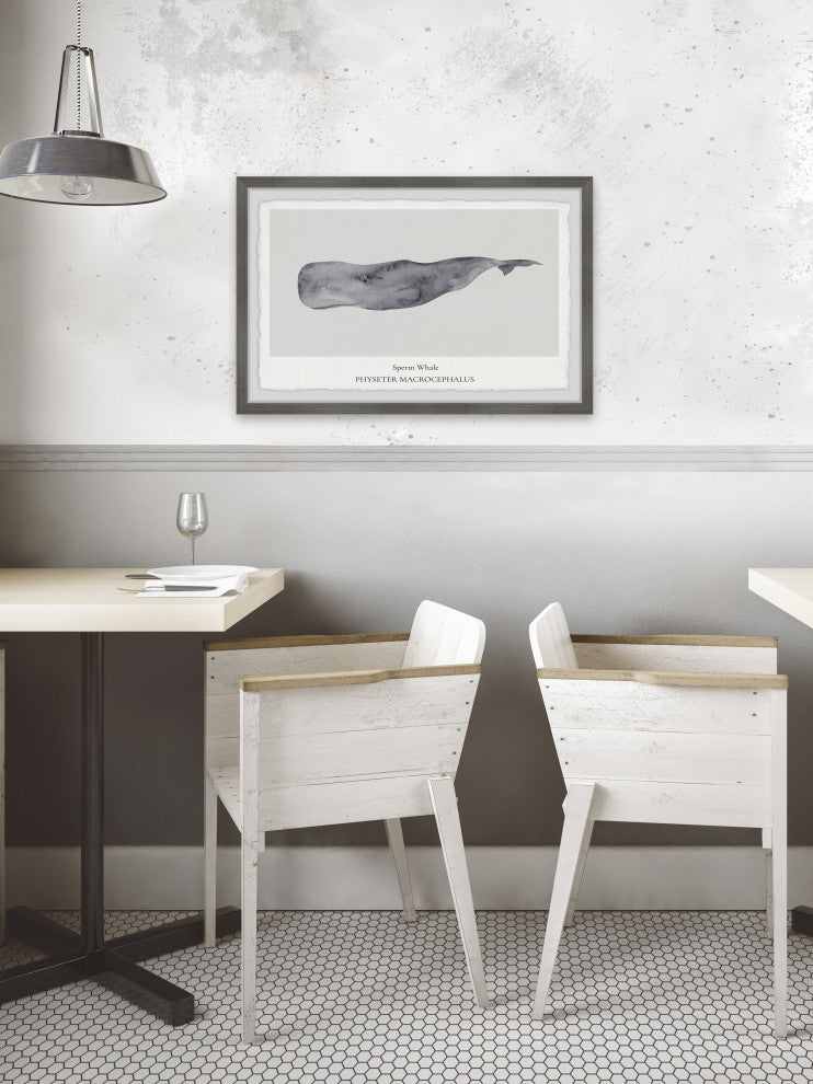 "Physeter Macrocephalus" Framed Painting Print, 18x12