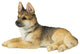 German Shepherd Puppy Sitting and Looking Towards Left