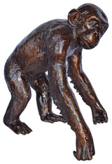 Chimpanzee Standing and Looking around Bronze Statue - Size: 24" x 20" x 28"H