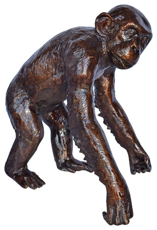 Chimpanzee Standing and Looking around Bronze Statue - Size: 24" x 20" x 28"H